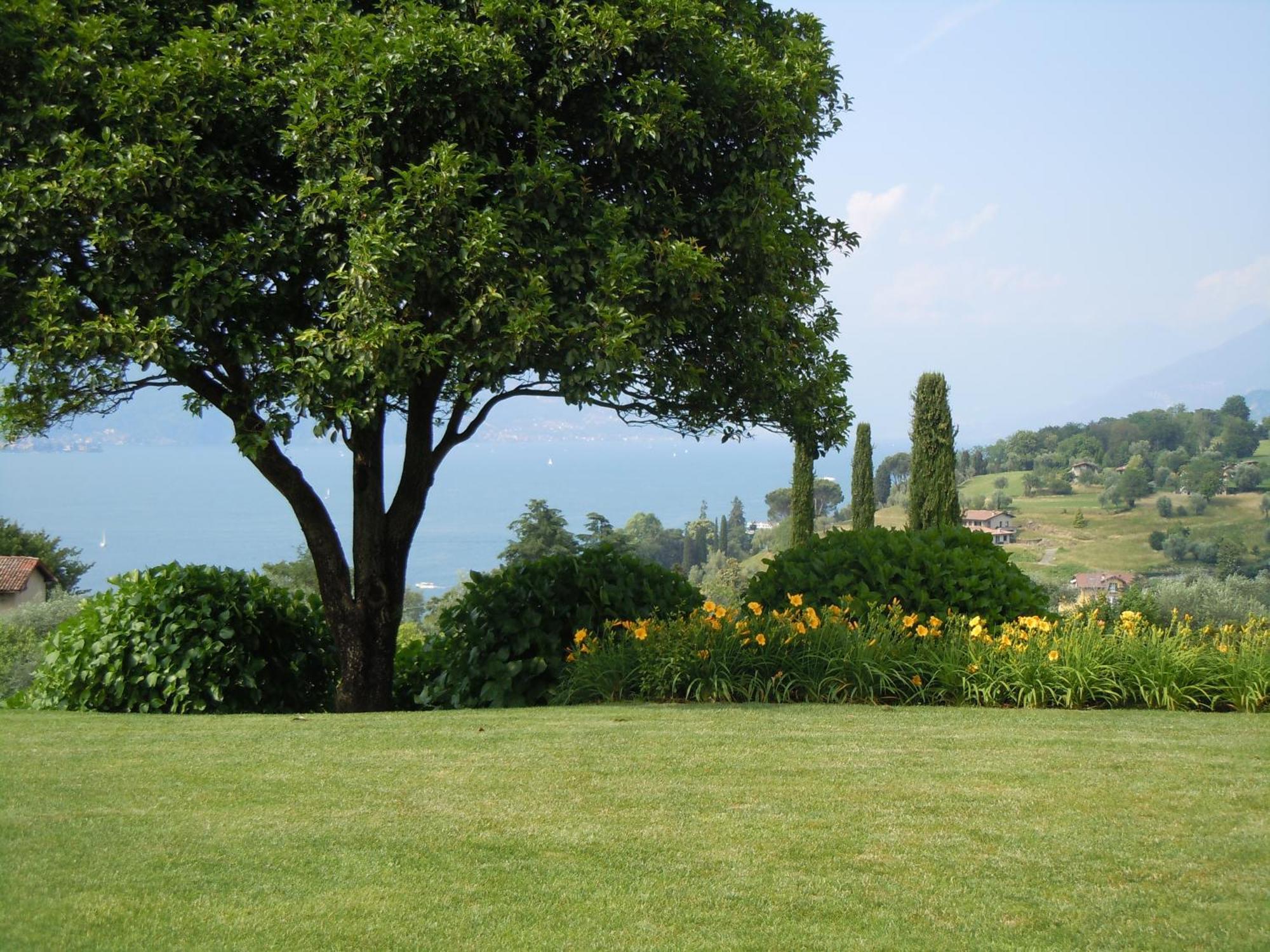 Il Poggio Di Bellagio Aparthotel ภายนอก รูปภาพ